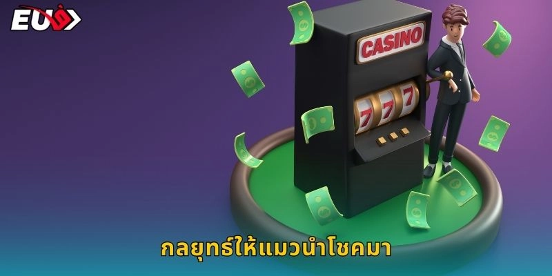 กลยุทธ์ให้แมวนำโชคมา