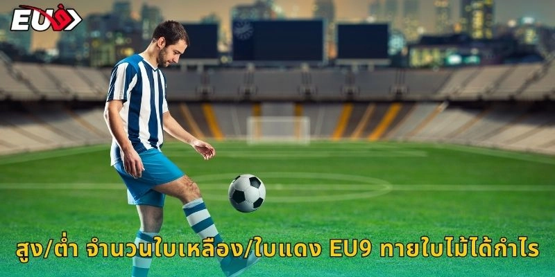 สูง/ต่ำ จำนวนใบเหลือง/ใบแดง EU9 ทายใบไม้ได้กำไร